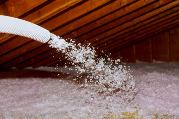 Best Residential Insulation in Minneapolis, MN