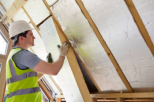 Best Insulation Maintenance and Repair in Minneapolis, MN